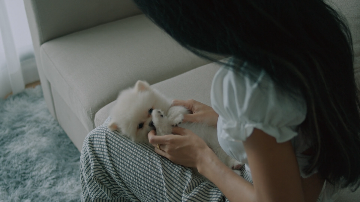 How to Create a Calm, Clean Home for You and Your Pet