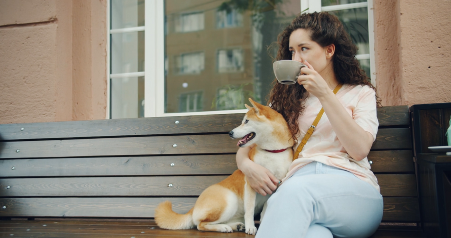 From Morning Walks to Clean Floors: Managing the Everyday Pet Routine