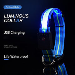 Rechargeable LED Dog Collar with Reflective Strips for Night Safety