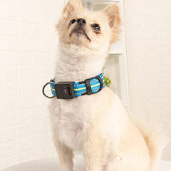 Rechargeable LED Dog Collar with Reflective Strips for Night Safety
