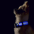 Rechargeable LED Dog Collar with Reflective Strips for Night Safety