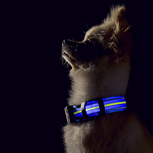 Rechargeable LED Dog Collar with Reflective Strips for Night Safety