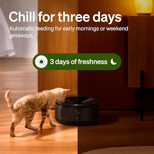 Automatic Wet Food Pet Feeder with Stainless Steel Bowl