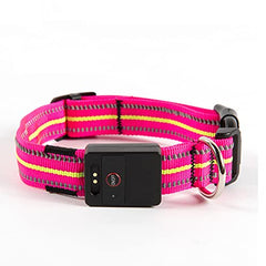 Rechargeable LED Dog Collar with Reflective Strips for Night Safety