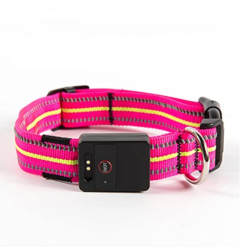 Rechargeable LED Dog Collar with Reflective Strips for Night Safety