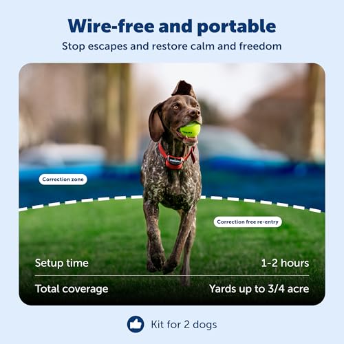 PetSafe Wireless Electric Dog Fence with Waterproof Rechargeable Collar