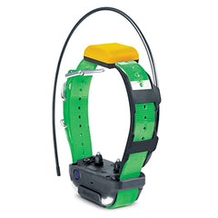 Dog GPS Tracker & Training Collar with Real-Time Tracking App