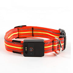 Rechargeable LED Dog Collar with Reflective Strips for Night Safety