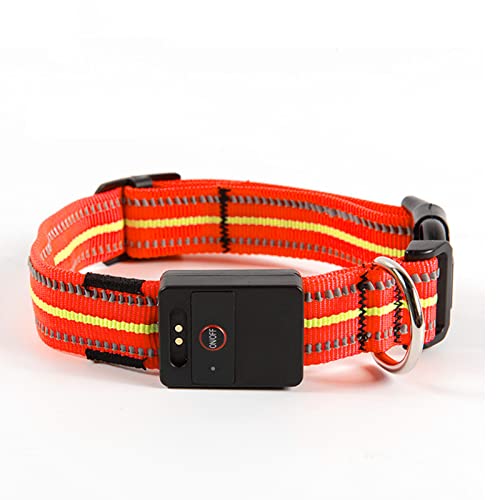 Rechargeable LED Dog Collar with Reflective Strips for Night Safety