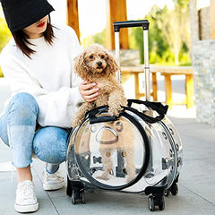 Portable Breathable Pet Carrier Backpack for Travel & Outdoor Use