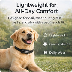 Smart Dog Health & Activity Monitoring Collar with App Controls