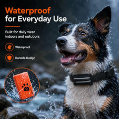 Smart Dog Health & Activity Monitoring Collar with App Controls
