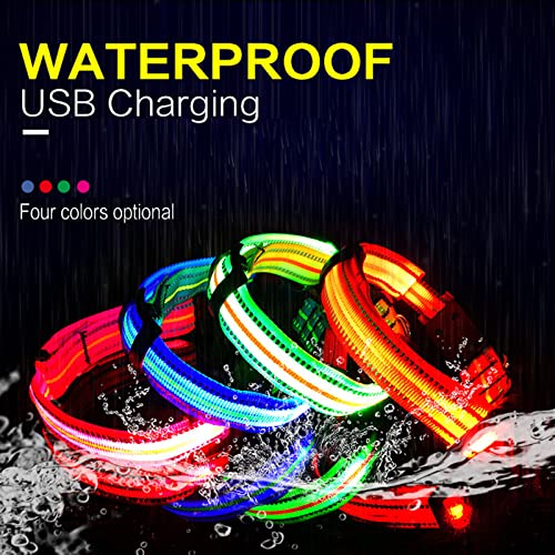 Rechargeable LED Dog Collar with Reflective Strips for Night Safety
