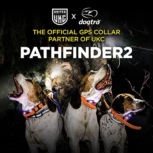 Dog GPS Tracker & Training Collar with Real-Time Tracking App