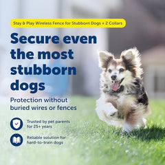 PetSafe Wireless Electric Dog Fence with Waterproof Rechargeable Collar