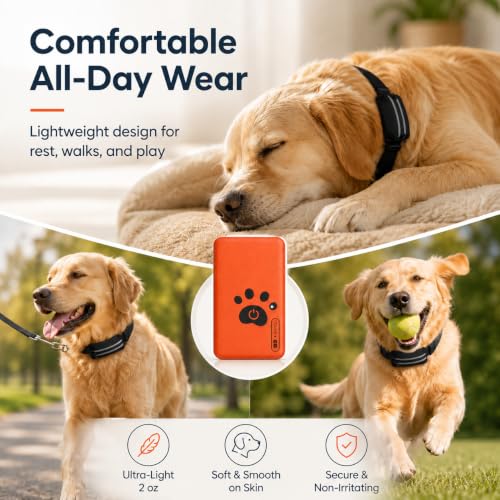 Smart Dog Health & Activity Monitoring Collar with App Controls