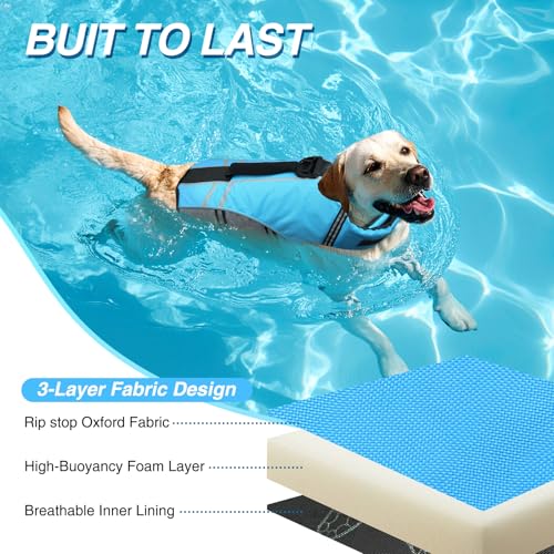 Sports-Style Dog Life Vest for Swimming & Water Safety
