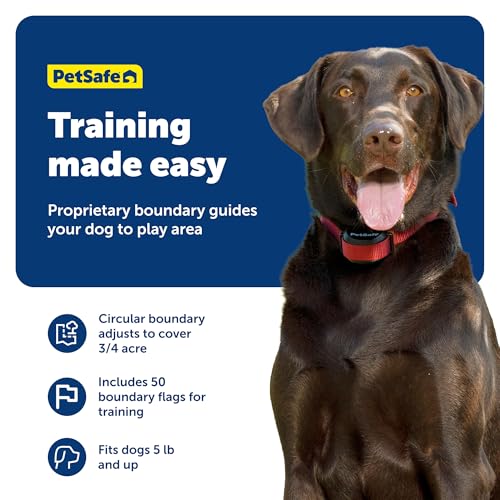 PetSafe Wireless Electric Dog Fence with Waterproof Rechargeable Collar