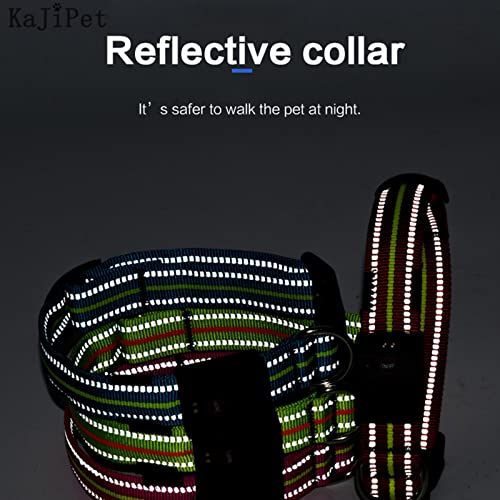 Rechargeable LED Dog Collar with Reflective Strips for Night Safety