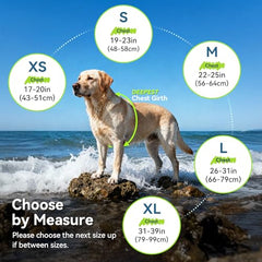 Sports-Style Dog Life Vest for Swimming & Water Safety