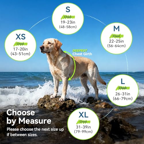 Sports-Style Dog Life Vest for Swimming & Water Safety