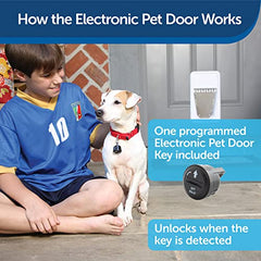 Programmable Electronic Pet Door with Smart Collar Access for Large Pets