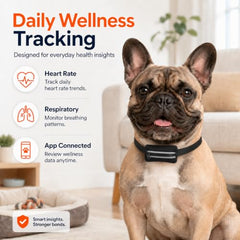 Smart Dog Health & Activity Monitoring Collar with App Controls