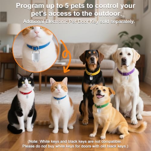 Smart Electronic Pet Door with 3 Modes for Small & Medium Pets