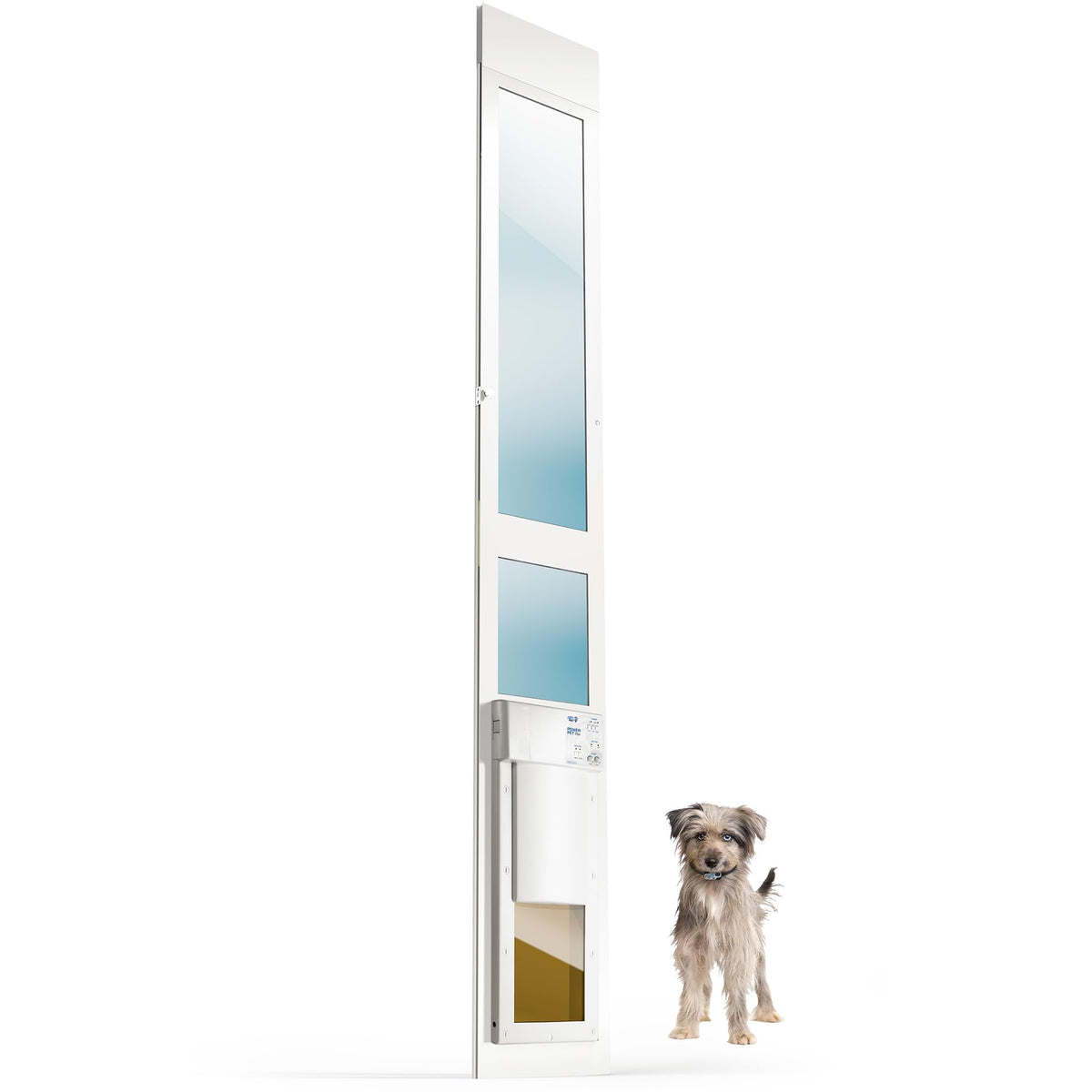 Smart Automatic Electronic Pet Door with Secure Pet Access Control