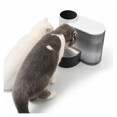 Automatic Pet Water Fountain with Filtered Water Dispenser