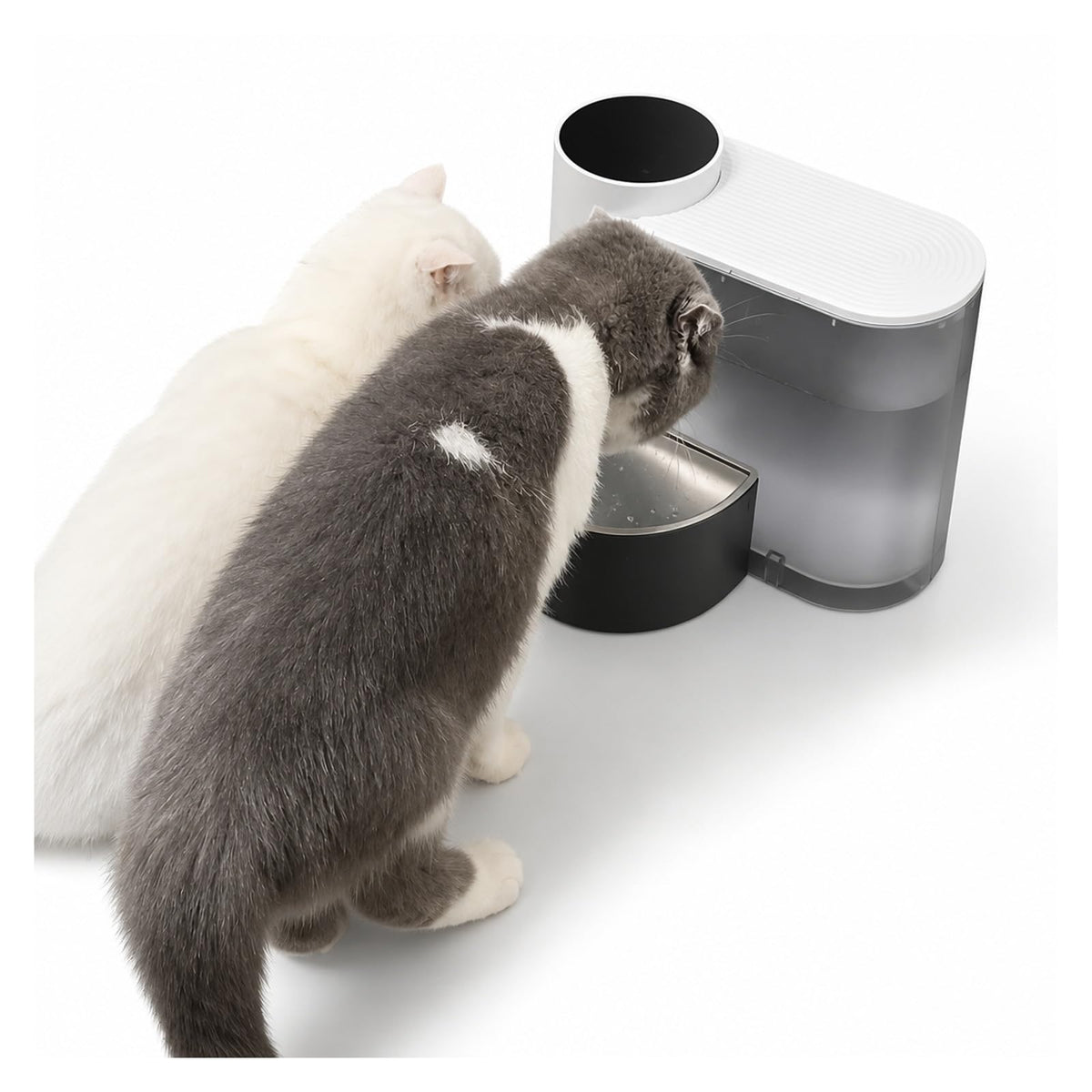 Automatic Pet Water Fountain with Filtered Water Dispenser
