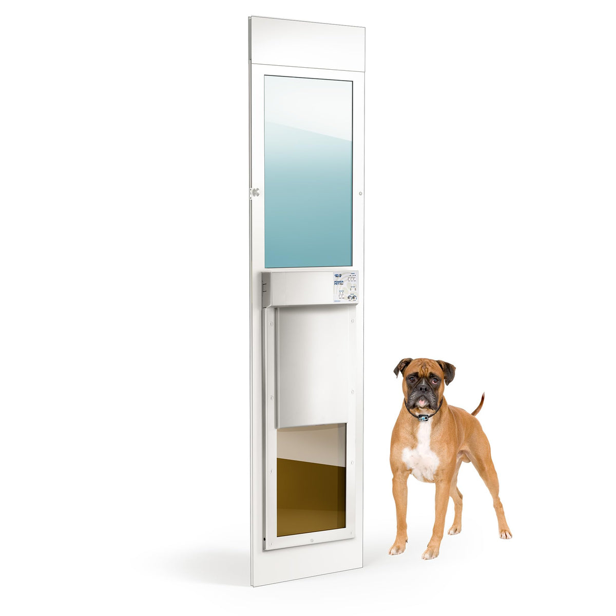 Smart Automatic Electronic Pet Door with Secure Pet Access Control