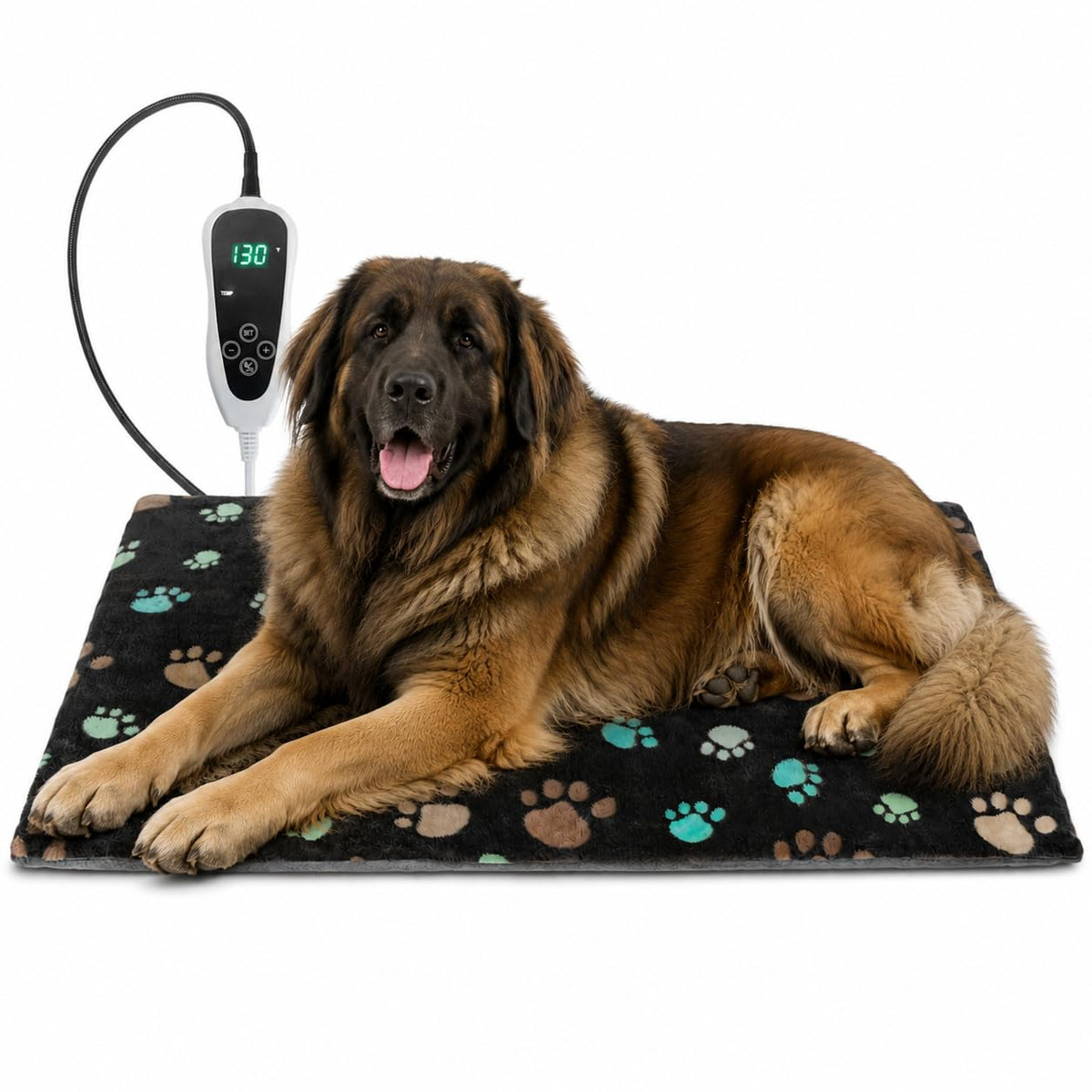 4G Cellular Pet Temperature Monitor with Power Outage Alerts