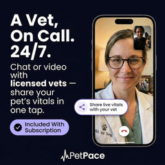 AI Dog Health Monitoring Collar with GPS & 24/7 Vital Tracking