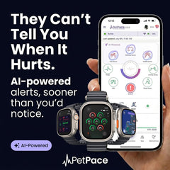 AI Dog Health Monitoring Collar with GPS & 24/7 Vital Tracking