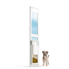 Smart Automatic Electronic Pet Door with Secure Pet Access Control