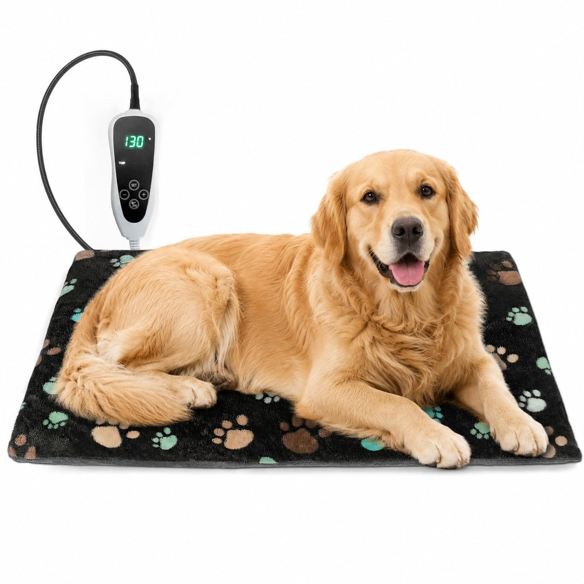 4G Cellular Pet Temperature Monitor with Power Outage Alerts