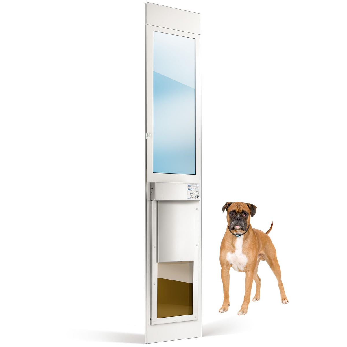 Smart Automatic Electronic Pet Door with Secure Pet Access Control