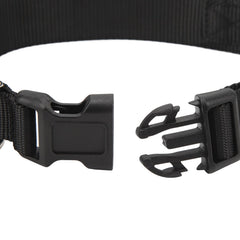 Rechargeable LED Dog Collar with App Control & High Visibility