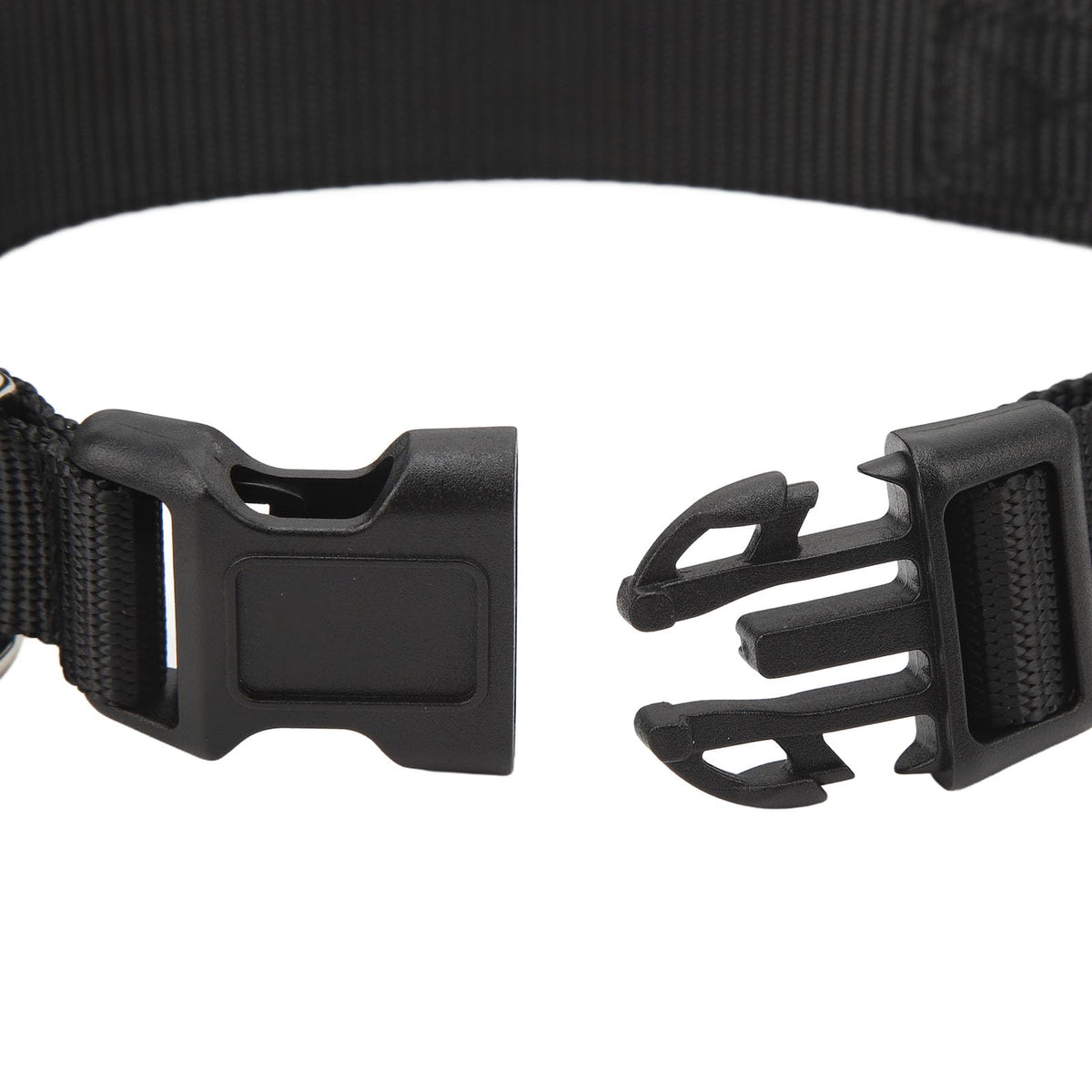 Rechargeable LED Dog Collar with App Control & High Visibility
