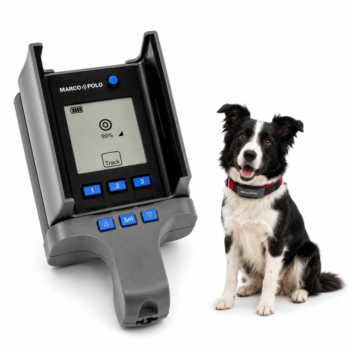 Advanced Pet Tracker for Cats & Dogs with Long-Range Tracking