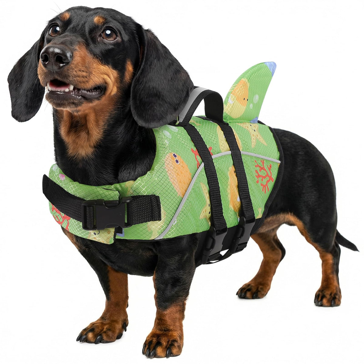 Ripstop Shark Dog Life Jacket for Small & Medium Dogs