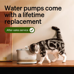 Cordless Smart Pet Water Fountain with App Monitoring & 3L Capacity