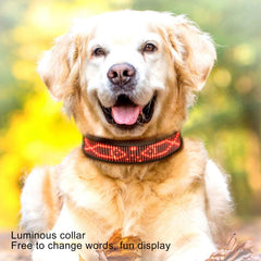 Rechargeable LED Dog Collar with App Control & High Visibility