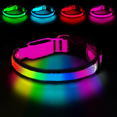 Rechargeable LED Dog Collar for Night Walking & Visibility