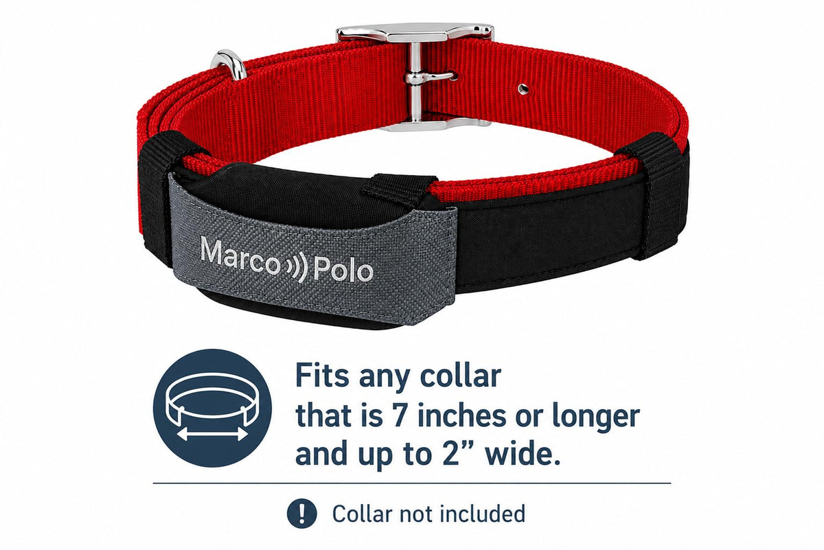 Advanced Pet Tracker for Cats & Dogs with Long-Range Tracking