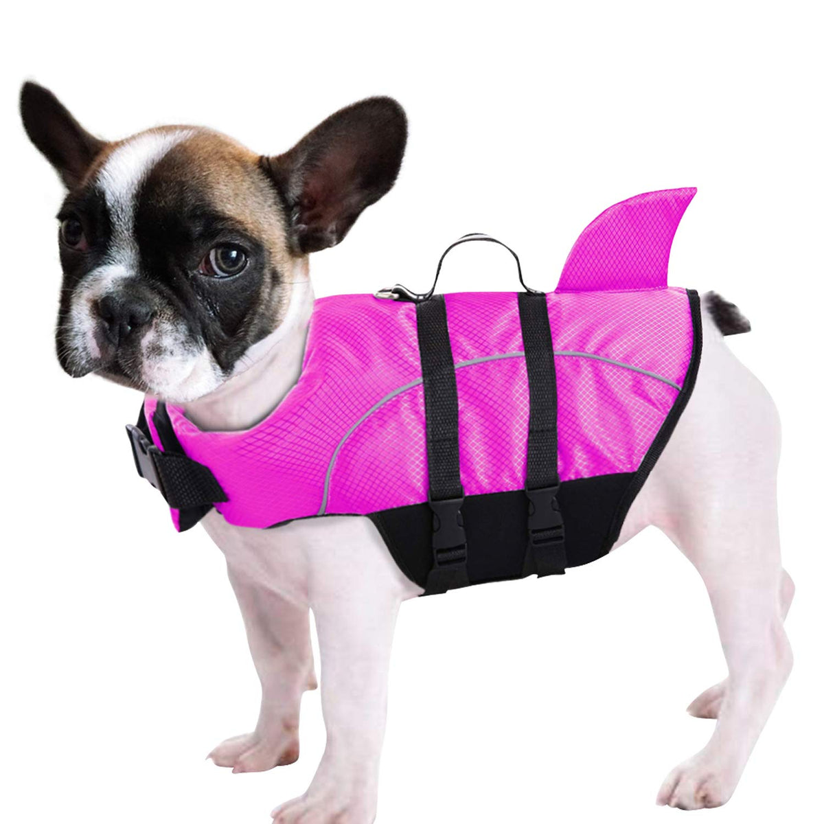 Ripstop Shark Dog Life Jacket for Small & Medium Dogs
