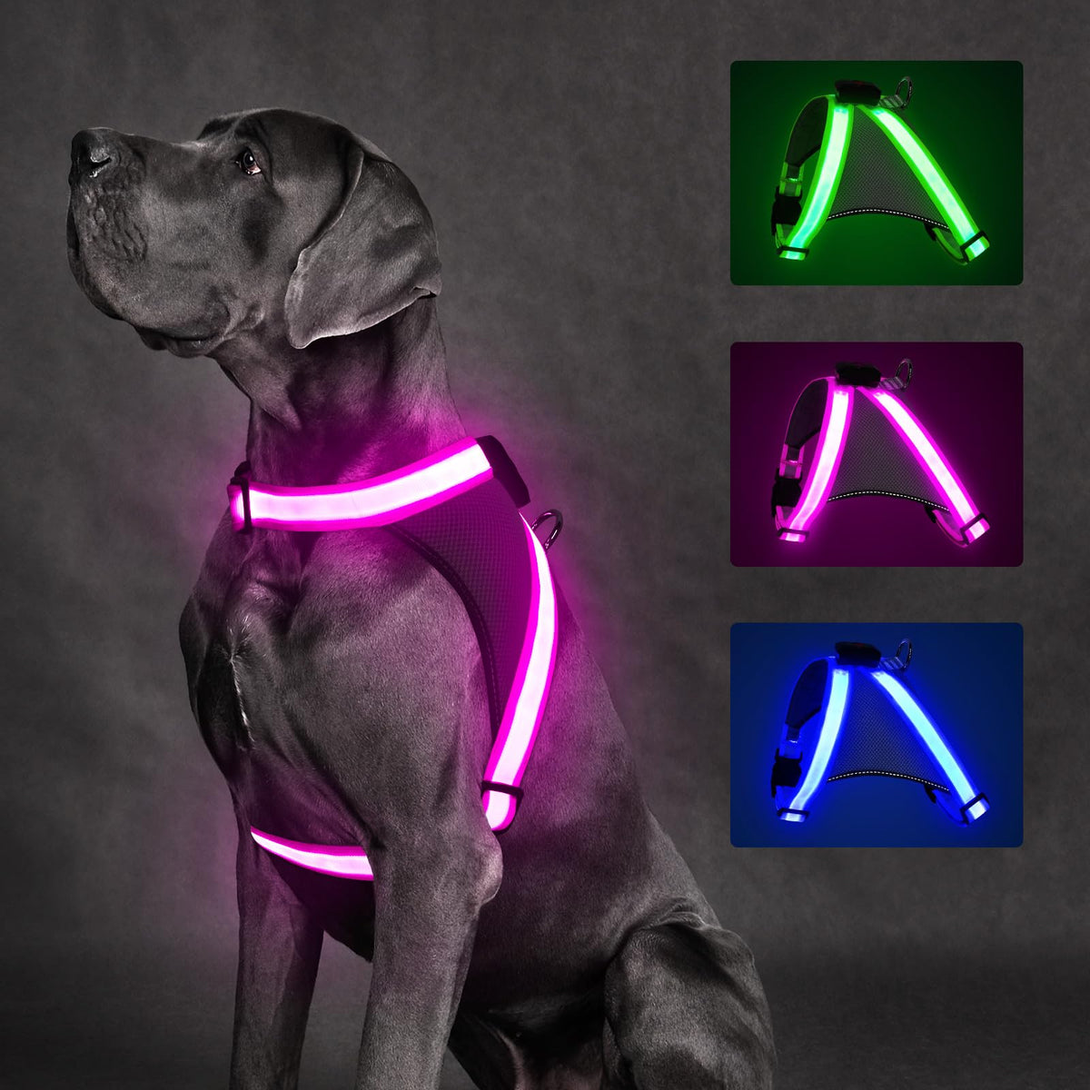 ChalkLit Light-Up Dog Harness for Nighttime Visibility