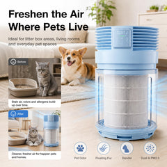 Smart Pet Water Fountain & Air Purifier Bundle with App Control