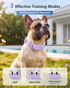 PATPET 4000ft Waterproof Training Collar for Two Dogs